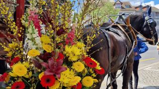 Blumen Krämer Zürich | Sächsilüütä Blumen & Blumendekoration